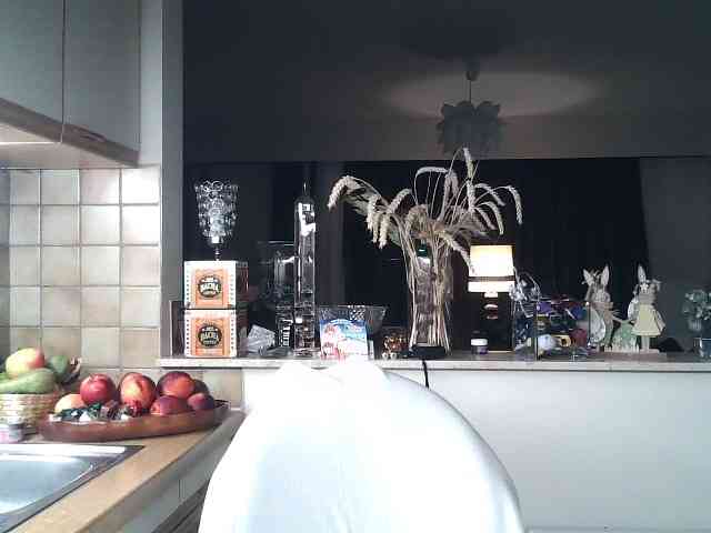 UllimOhi webcam