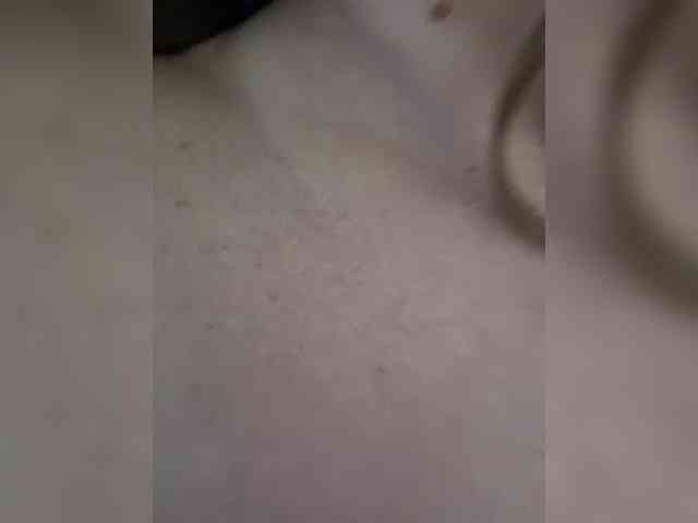 __Bumm__ webcam