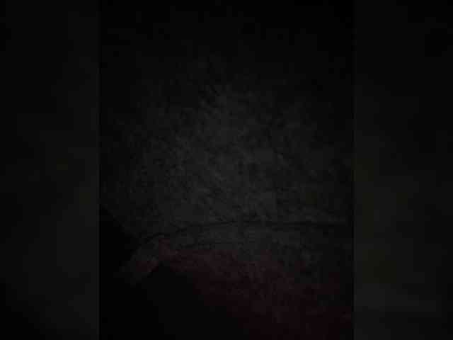 __Bumm__ webcam