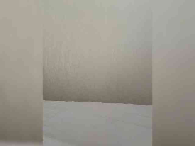 __Bumm__ webcam