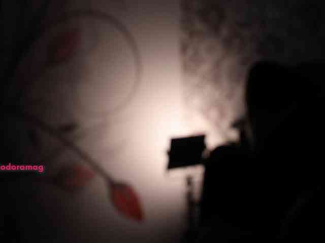 DiodoraDi webcam