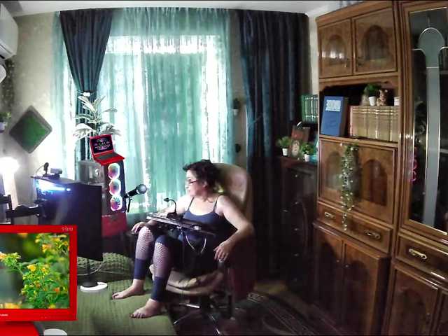 margarita33 online