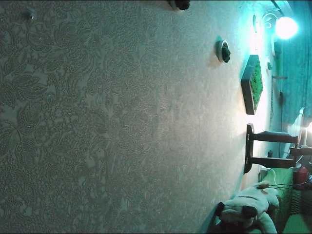 Infodar webcam