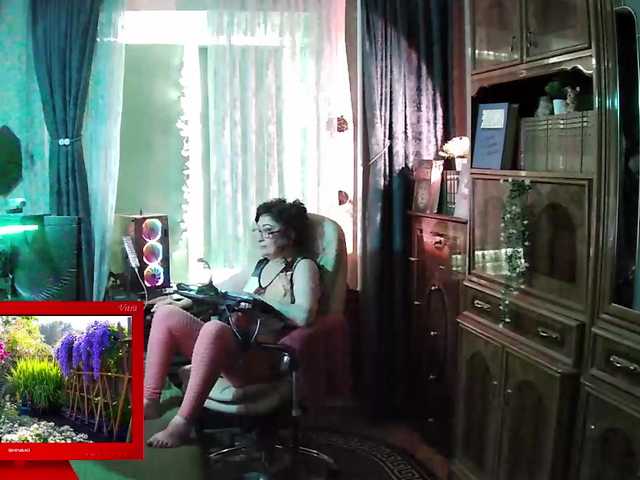 Infodar live cam preview