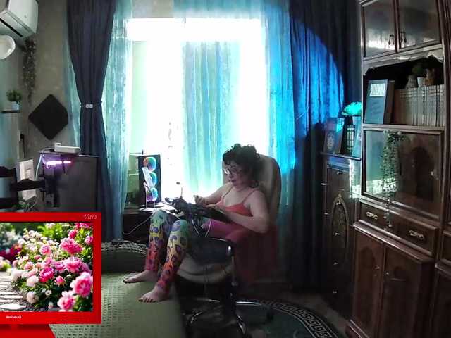 Infodar live cam preview