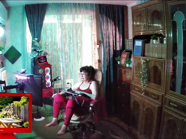 Margarita33
