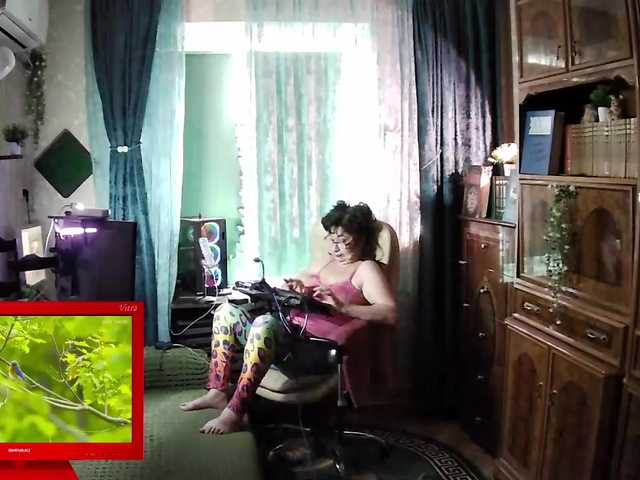 Infodar live cam preview