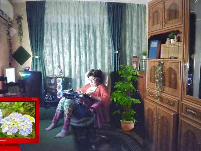 Infodar webcam