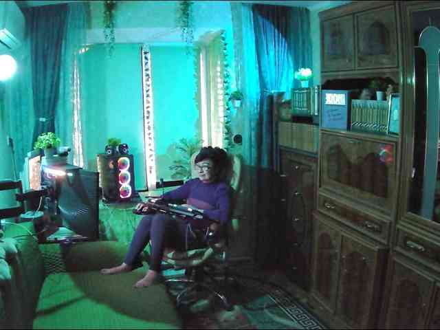 Infodar webcam