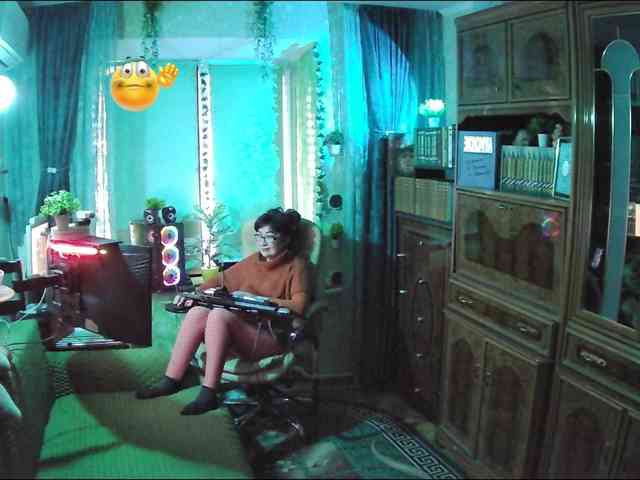 Infodar webcam