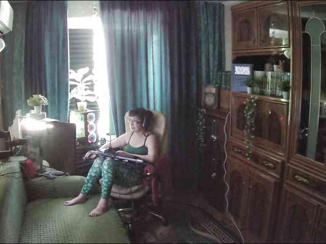 Infodar webcam