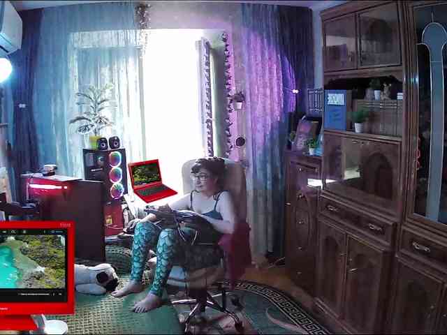 Infodar webcam
