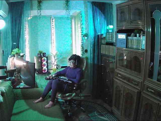 Infodar webcam