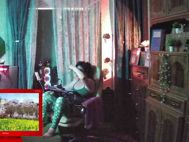 Infodar webcam