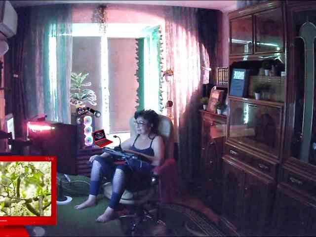 Infodar webcam