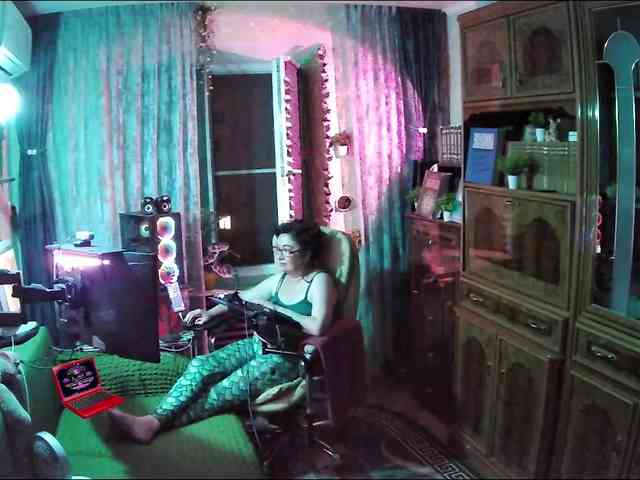 Infodar webcam