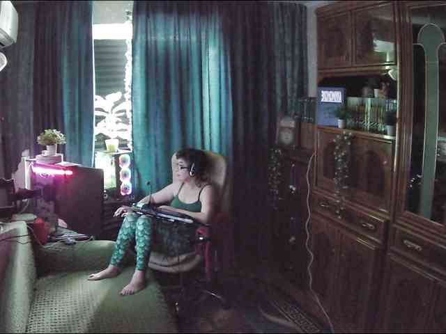 Infodar webcam
