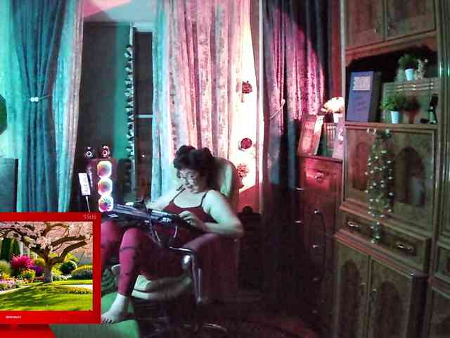 Infodar webcam