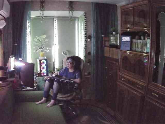 Infodar webcam