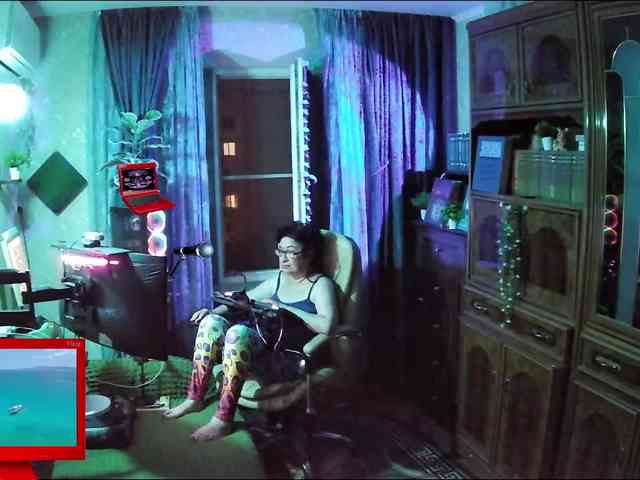 Infodar webcam