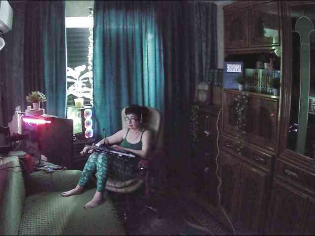 Infodar webcam