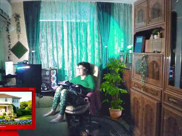 Infodar webcam