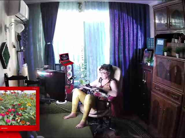 Infodar webcam