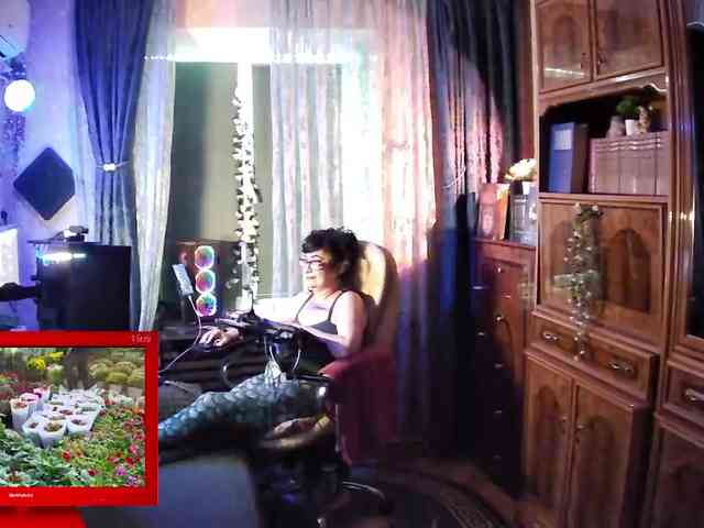 Infodar webcam