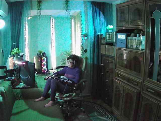 Infodar webcam