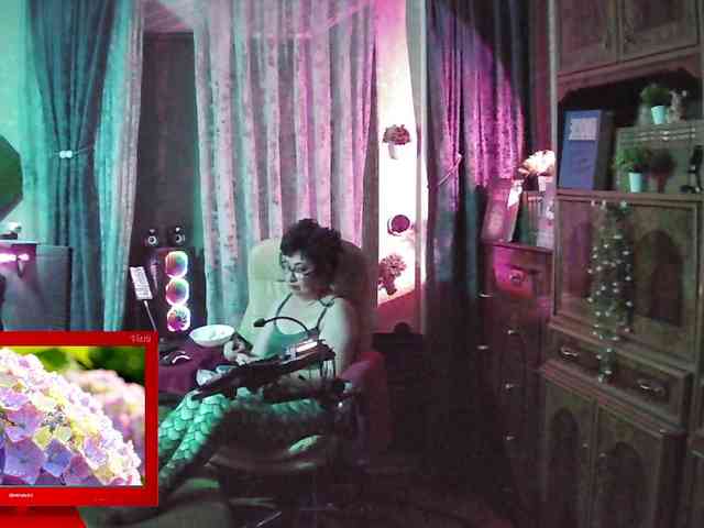 Infodar webcam
