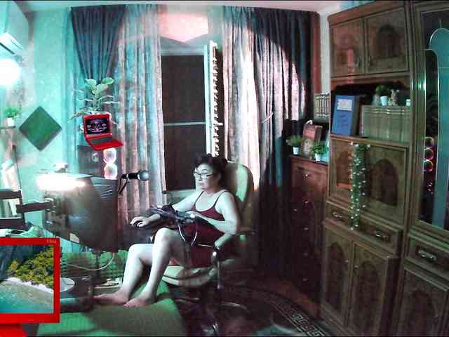 Infodar webcam