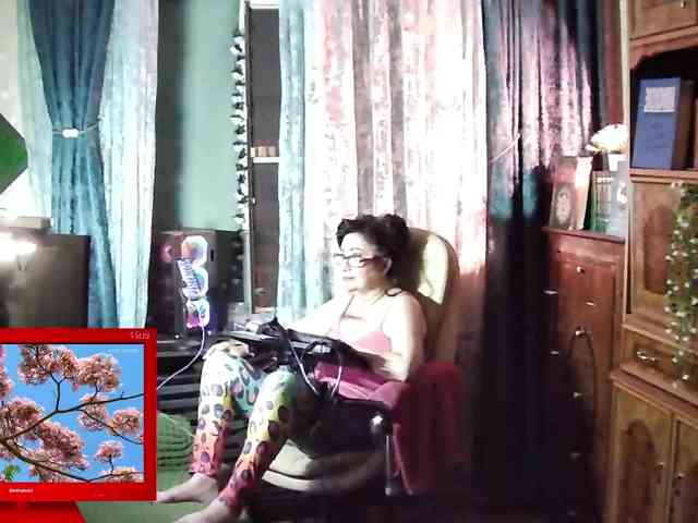 Infodar webcam