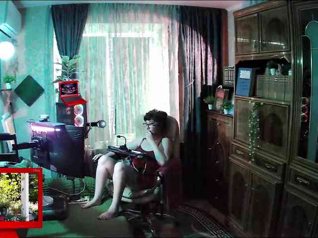 Infodar webcam