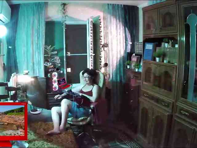 Infodar webcam