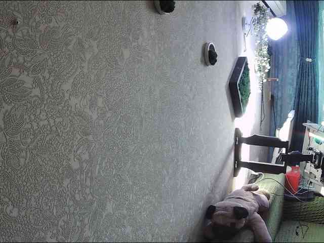 Infodar webcam