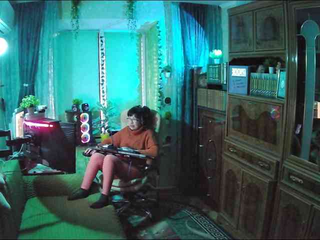 Infodar webcam