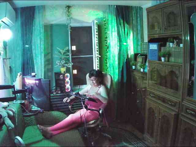 Infodar webcam
