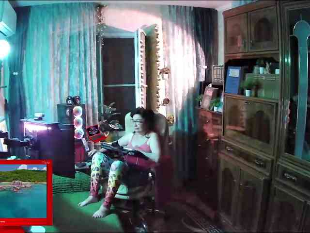 Infodar webcam