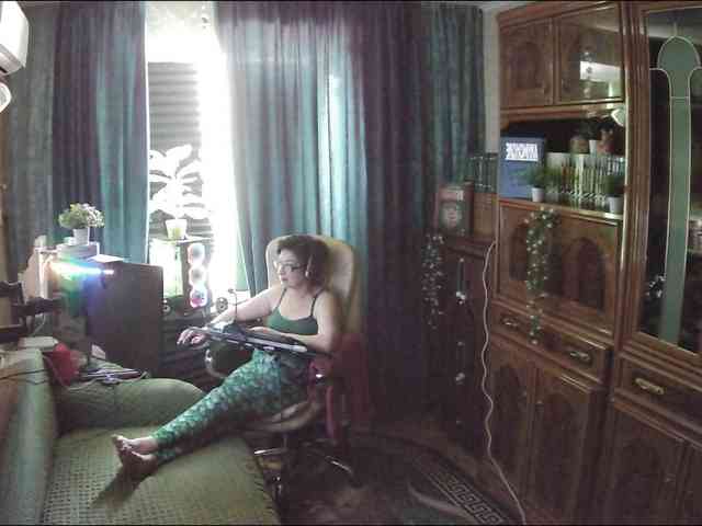 Infodar webcam