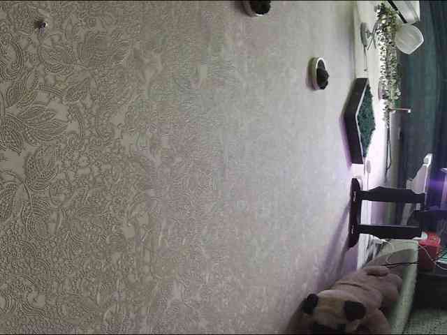 Infodar webcam
