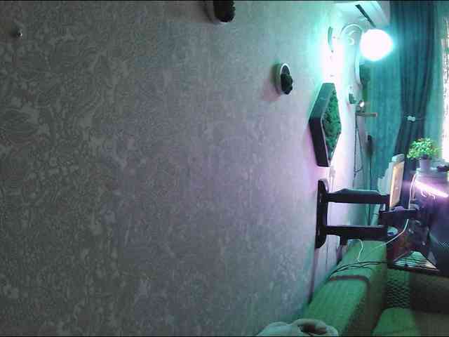 Infodar webcam