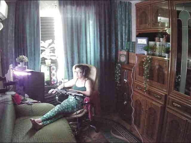 Infodar webcam