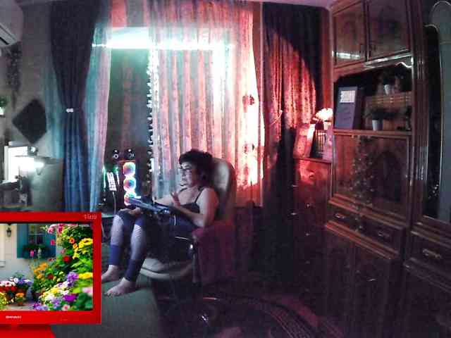 Infodar webcam