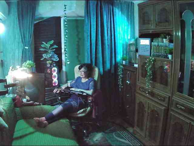 Infodar webcam