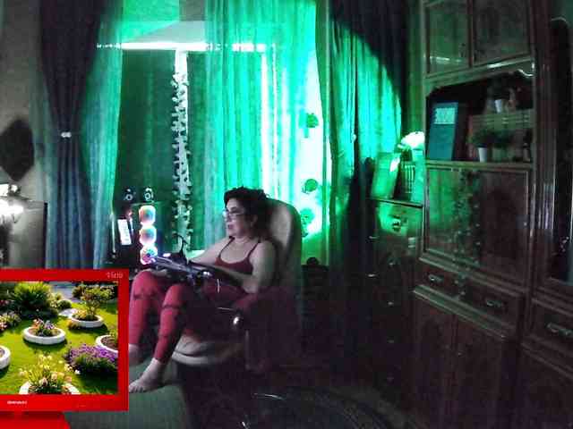 Infodar webcam