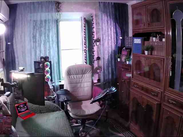 Infodar webcam