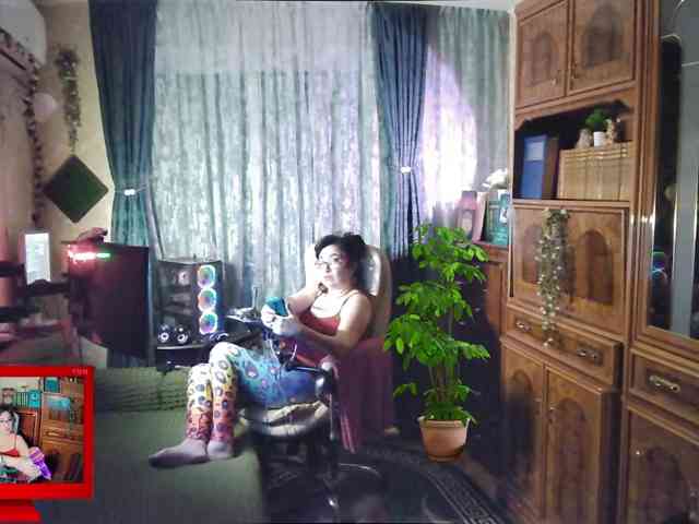 Model: Infodar