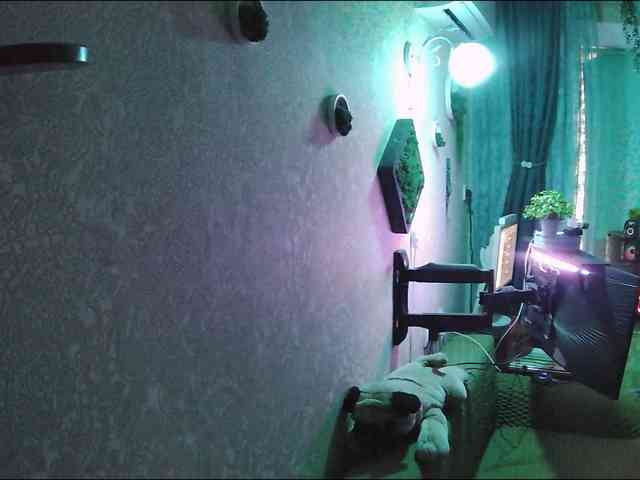 Infodar webcam