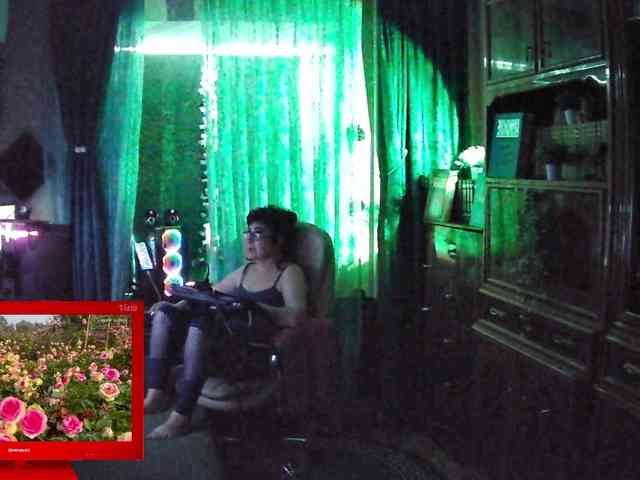 Infodar webcam