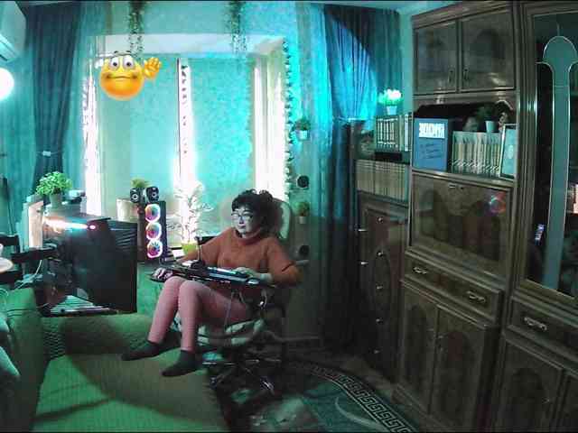 Infodar webcam